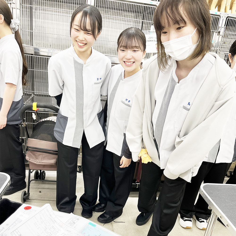 先輩のトリミングを見学☆
